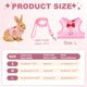 thumbnail image 2 of Arnés y Correa para Conejo Uxcell, Arnés de Chaleco Lindo para Mascotas Pequeñas, Hebilla Ajustable Suave de Malla Transpirable (L, Rosa) para Conejito, Gatito, Cerdito Pequeño, 2 of 7