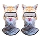thumbnail image 1 of Pasamontañas Daxotu Cat 3D Sheisty Face para invierno, paquete de 2, 1 of 6
