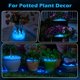 thumbnail image 5 of Piedras fosforescentes NAMTSO 1000 uds 2,1 kg Decoración azul para jardín, 5 of 9