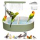thumbnail image 1 of Baño para Pájaros DINTSTYLE Automático con Ducha y Bomba USB Grande, 1 of 8