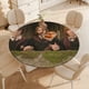 thumbnail image 4 of Harry Potter-theme Fitted Round Tablecloths Elastic Edged Table Covers Waterproof Table Cloth for Kitchen Holiday Party Tables Decor 120cm, 4 of 6