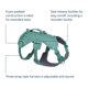 thumbnail image 5 of Ruffwear, Arnés Corporal Web Master para Perro, Verde Piedra del Río, Mediano, 5 of 9