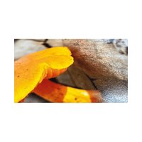 Micolor - Papel Brillante Textura Cuero A4 220 G 50 Hojas