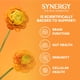 thumbnail image 5 of Kombucha SYNERGY The Real Gingerade, botella de 473 ml, salud intestinal, 5 of 7