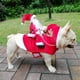 thumbnail image 3 of Ropa De Navidad Para Perros Y Gatos, Diseño De Papá Noel De Trineo, Para Perros Y Gatos Pequeños, Medianos Y Grandes, Rojo, M, 3 of 6