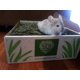 thumbnail image 5 of Hay Small Pet Select Timothy 2nd Cutting, 9,07 kg, para conejos, 5 of 8