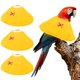 thumbnail image 1 of Collares para Aves Uxcell, Collar Cónico Protector de Recuperación, Conos Ajustables Suaves Anti-Mordeduras para Cuello de Plumas (Amarillo, XL, 3 Piezas), 1 of 7