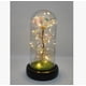 thumbnail image 2 of Rosa Eterna Tornasol Dorado, 2 of 3