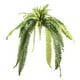 thumbnail image 1 of Planta Artificial Helecho Grande 100 Cm, 1 of 2