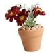 thumbnail image 5 of Casa De Muñecas A Escala 1:6, Accesorios De Flores De Margaritas En Maceta, Miniadornos Rojos, 5 of 5
