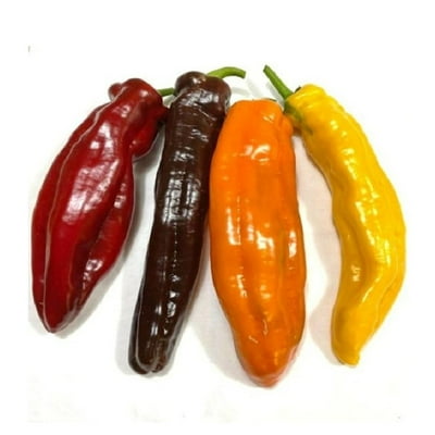 Pimiento Palermo 1 Un