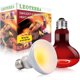 thumbnail image 1 of Lámpara para Reptiles Leoterra H80100 100 W E26 Día y Noche, 1 of 3