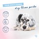 thumbnail image 3 of Mordedores para perros Benebone Puppy Maplestick Zaggler, 3 of 3