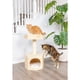 thumbnail image 5 of Cat Tree Armarkat S2906 de madera maciza con cojín de 2 niveles, 5 of 8