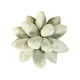 thumbnail image 3 of Throw Pillow Cojines Decorativos Para Dormir Cojines Divertidos Lovely Universal Para Sofá Verde, 3 of 5
