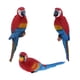 thumbnail image 1 of Ornamento animal del pájaro de la resina del loro realista 3x que cuelga mentira roja izquierda derecha, 1 of 3