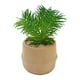 thumbnail image 1 of Cactus artificial 18cm, 1 of 2