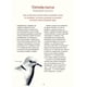 thumbnail image 3 of Las aves de nuestros jardines, ciudades y pueblos, 3 of 5