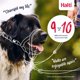 thumbnail image 5 of Collar Halti Headcollar Talla 2 Verde Bosque para Entrenamiento, 5 of 5