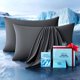 thumbnail image 1 of Funda de almohada Rifens Home 2 unidades, refrescante, gris oscuro, 1 of 7