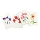 thumbnail image 3 of Tarjetas De Felicitación Con Estampado De Flores En Acuarela Paquete De 20 Con Sobres, 3 of 4