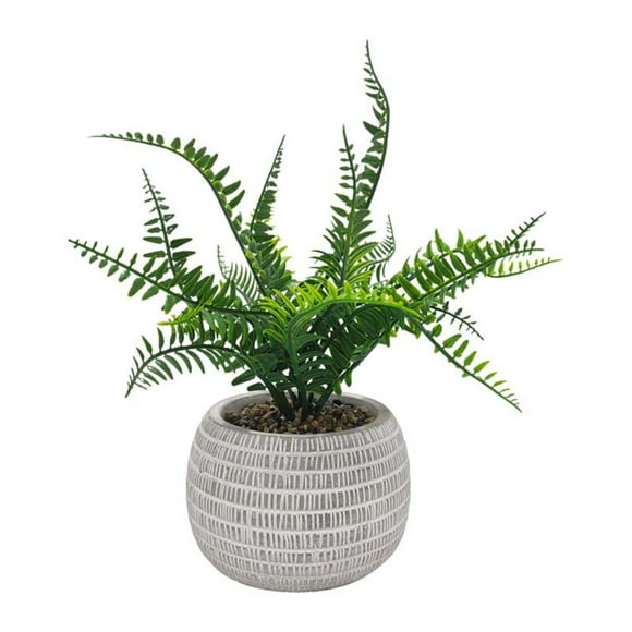 Planta Artificial filicopsida