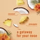 thumbnail image 4 of Kit de inicio Febreze Plug Scent Booster con 2 Hawaiian Aloha, 4 of 9
