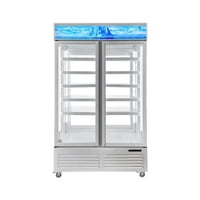 Vitrina Cooler Pasante 900 Litros Norkalt