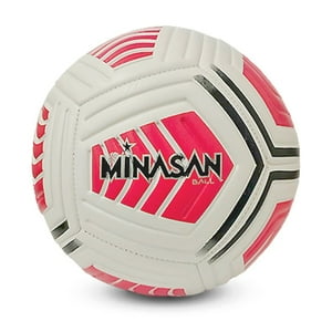 Genérico - Balon De Futbol N4 Bote Bajo Bladder - 8550