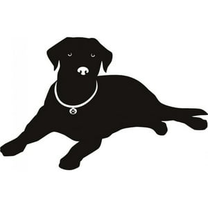 Rienda Libre Graphics - Decomural Labrador Dog Pet Animals Ws-17448