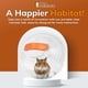 thumbnail image 2 of Pelota de ejercicio para hámster Happy Habitats, transparente, 7 pulgadas, 2 of 7