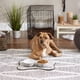 thumbnail image 5 of Juego mediano de cerámica Pet Bowl Bone Dry Paw & Patch, 350 ml, 2 unidades, 5 of 6