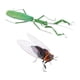 thumbnail image 4 of 2 X Vivid Insect Animal Estatua Colgante De Pared Art Garden Decor Mantis & Cicada, 4 of 5