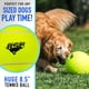 thumbnail image 3 of Pelota de tenis sobredimensionada para perros Franklin Pet Supply 8.5 Jumbo, 3 of 8
