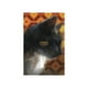 thumbnail image 2 of Libro Personajes Desesperados. /563, 2 of 3