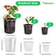 thumbnail image 2 of Macetas Bluepro 36 unidades juego transparente para vivero 9/10/13 cm, 2 of 6