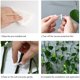 thumbnail image 3 of Clips de fijación para plantas trepadoras ZIBo, 100 piezas, autoadhesivos, 3 of 7