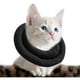 thumbnail image 1 of Collar de cono ajustable para gatos, suave, lindo collar de recuperación para gatos, cono para gatitos., 1 of 5