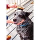 thumbnail image 2 of Cepillo para perros de doble cara de bambú ecológico AtEase Accents, 2 of 8