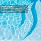 thumbnail image 3 of Filtro para piscina Sand Palmetto Poolfilter-50 20#, grado 22,68 kg, 3 of 7