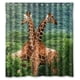 thumbnail image 1 of Cortina de ducha con diseño de jirafas y animales del paraíso, con ganchos, tamaño 66 x 72 pulgadas, 1 of 3
