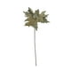 thumbnail image 1 of Poinsettia Dorada Clara 27cm, 1 of 3