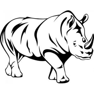 Rienda Libre Graphics - Decomural Rhino African Animals Ws-17668