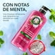 thumbnail image 4 of "Herbal Essences Limpieza Refrescante ", 600 ml, 4 of 5