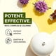 thumbnail image 3 of Aceite Esencial Gya Labs Spikenard 10 ml para Aromaterapia, 3 of 6