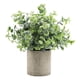 thumbnail image 3 of Planta Suculenta Falsa Artificial En Maceta Mini Plantas En Maceta Decoración De Jardín Para El Hogar Desmodium, 3 of 5