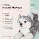 thumbnail image 2 of Peluche Bearington Dog Husky Manouk de 33 cm, 2 of 6