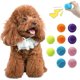 thumbnail image 1 of Pelotas con sonido para perros Magicorange de 1,5 pulgadas, 1 of 3