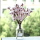thumbnail image 2 of Paquete de 30 tallos de algodón, flores de algodón secas naturalmente, decoración estilo granja, flores secas, decoración del hogar, accesorios de fotos, decoración de ambientes., 2 of 7