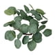 thumbnail image 1 of Guirnaldas De Velas De Hojas De Eucalipto Artificiales Para Decoración De Mesa Estilo A, 1 of 5